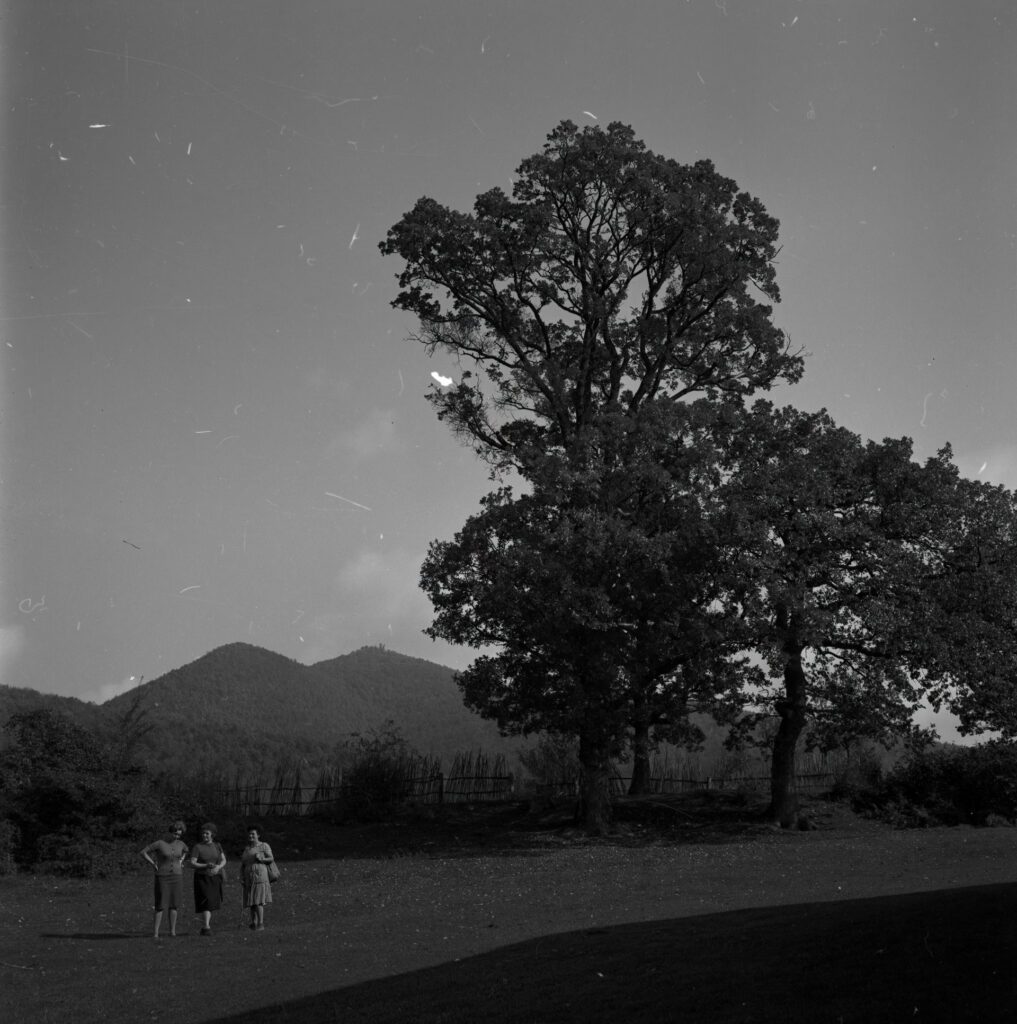 Terenski rad, Oštrc, listopad 1966.; snimila Lj. Krtelj; fototeka Regionalnog zavoda za zaštitu spomenika kulture