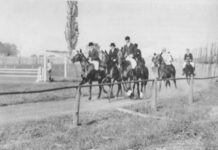 Od Prstenca do hipodroma