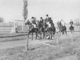 Od Prstenca do hipodroma