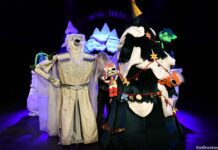 Ana Tonković – MEDO ĐURO I VELIKI MEDVJED – Blagdanska pustolovina u režiji Petre Mrduljaš