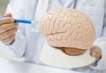 Zdravlje mozga – temelj dugog i kvalitetnog života